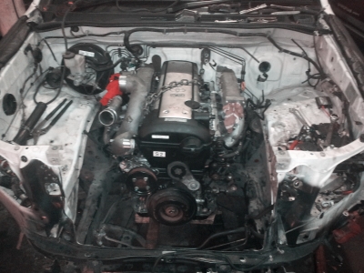 supra1_small.jpg